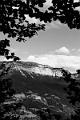 2023_08_03_Chartreuse (0018)